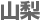 山梨
